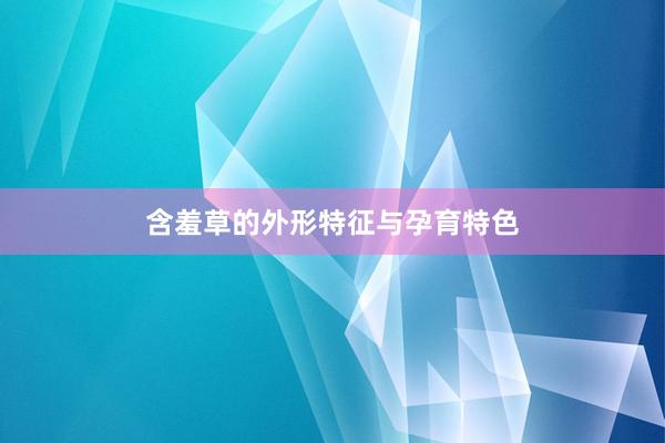 含羞草的外形特征与孕育特色