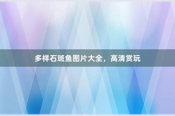 多样石斑鱼图片大全，高清赏玩