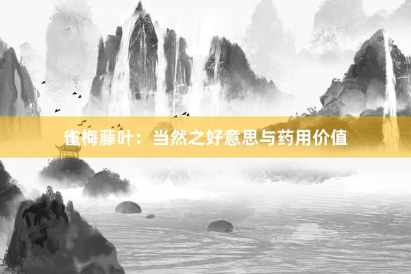 雀梅藤叶：当然之好意思与药用价值