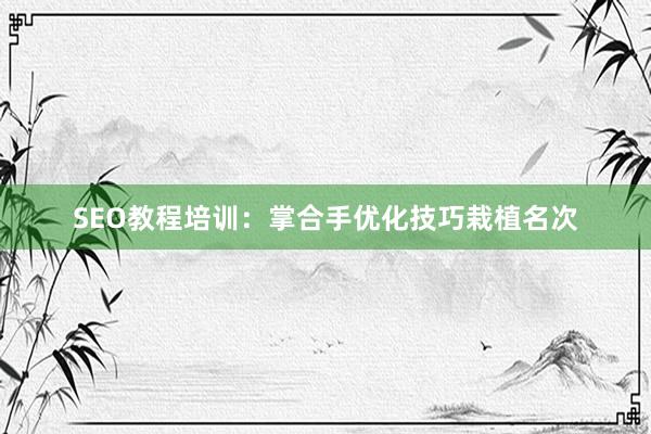 SEO教程培训：掌合手优化技巧栽植名次