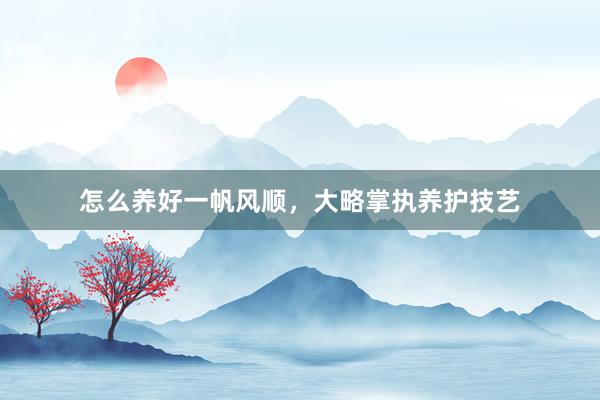 怎么养好一帆风顺，大略掌执养护技艺