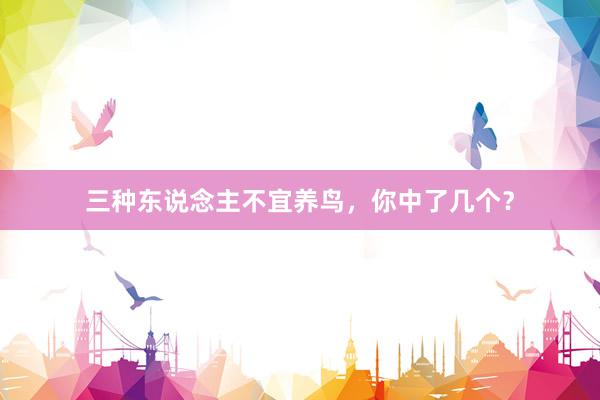 三种东说念主不宜养鸟，你中了几个？