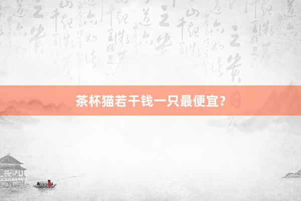 茶杯猫若干钱一只最便宜？